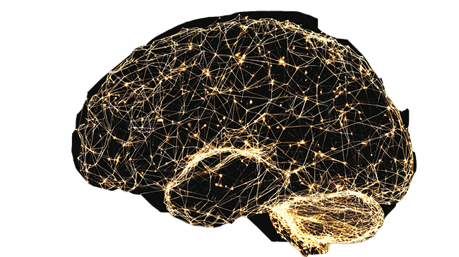 Botinsky Brain